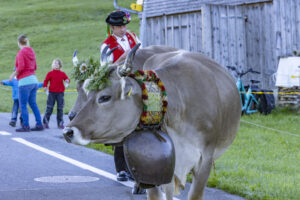 Appenzell, Appenzell Ausserrohden, Appenzeller Hinterland, Brauchtum, Landwirtschaft, Ostschweiz, Schweiz, Schönengrund, Sennen, Suisse, Switzerland, Tracht, Viehschau, Wirtschaft, tradition