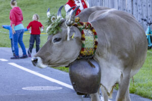 Appenzell, Appenzell Ausserrohden, Appenzeller Hinterland, Brauchtum, Landwirtschaft, Ostschweiz, Schweiz, Schönengrund, Sennen, Suisse, Switzerland, Tracht, Viehschau, Wirtschaft, tradition