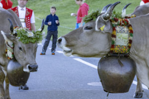 Appenzell, Appenzell Ausserrohden, Appenzeller Hinterland, Brauchtum, Landwirtschaft, Ostschweiz, Schweiz, Schönengrund, Sennen, Suisse, Switzerland, Tracht, Viehschau, Wirtschaft, tradition