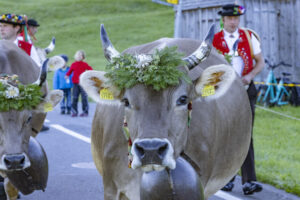 Appenzell, Appenzell Ausserrohden, Appenzeller Hinterland, Brauchtum, Landwirtschaft, Ostschweiz, Schweiz, Schönengrund, Sennen, Suisse, Switzerland, Tracht, Viehschau, Wirtschaft, tradition