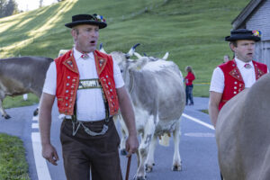 Appenzell, Appenzell Ausserrohden, Appenzeller Hinterland, Brauchtum, Landwirtschaft, Ostschweiz, Schweiz, Schönengrund, Sennen, Suisse, Switzerland, Tracht, Viehschau, Wirtschaft, tradition