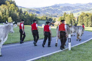 Appenzell, Appenzell Ausserrohden, Appenzeller Hinterland, Brauchtum, Landwirtschaft, Ostschweiz, Schweiz, Schönengrund, Sennen, Suisse, Switzerland, Tracht, Viehschau, Wirtschaft, tradition