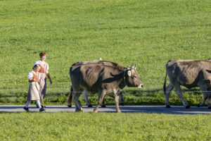 Appenzell, Appenzell Ausserrohden, Appenzeller Hinterland, Brauchtum, Landwirtschaft, Ostschweiz, Schweiz, Schönengrund, Sennen, Suisse, Switzerland, Tracht, Viehschau, Wirtschaft, tradition