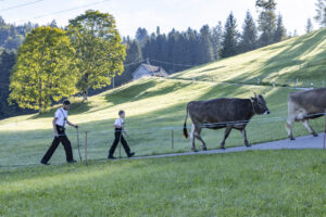Appenzell, Appenzell Ausserrohden, Appenzeller Hinterland, Brauchtum, Landwirtschaft, Ostschweiz, Schweiz, Schönengrund, Sennen, Suisse, Switzerland, Tracht, Viehschau, Wirtschaft, tradition