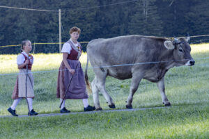 Appenzell, Appenzell Ausserrohden, Appenzeller Hinterland, Brauchtum, Landwirtschaft, Ostschweiz, Schweiz, Schönengrund, Sennen, Suisse, Switzerland, Tracht, Viehschau, Wirtschaft, tradition