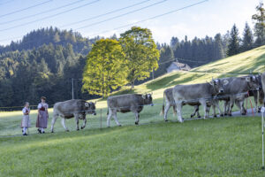 Appenzell, Appenzell Ausserrohden, Appenzeller Hinterland, Brauchtum, Landwirtschaft, Ostschweiz, Schweiz, Schönengrund, Sennen, Suisse, Switzerland, Tracht, Viehschau, Wirtschaft, tradition