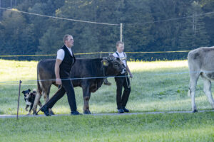 Appenzell, Appenzell Ausserrohden, Appenzeller Hinterland, Brauchtum, Landwirtschaft, Ostschweiz, Schweiz, Schönengrund, Sennen, Suisse, Switzerland, Tracht, Viehschau, Wirtschaft, tradition