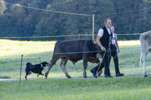 Appenzell, Appenzell Ausserrohden, Appenzeller Hinterland, Brauchtum, Landwirtschaft, Ostschweiz, Schweiz, Schönengrund, Sennen, Suisse, Switzerland, Tracht, Viehschau, Wirtschaft, tradition