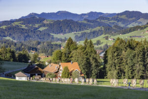 Appenzell, Appenzell Ausserrohden, Appenzeller Hinterland, Brauchtum, Landwirtschaft, Ostschweiz, Schweiz, Schönengrund, Sennen, Suisse, Switzerland, Tracht, Viehschau, Wirtschaft, tradition