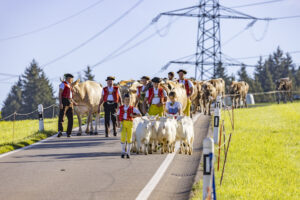 Appenzell, Appenzell Ausserrohden, Appenzeller Hinterland, Brauchtum, Landwirtschaft, Ostschweiz, Schweiz, Schönengrund, Sennen, Suisse, Switzerland, Tracht, Viehschau, Wirtschaft, tradition