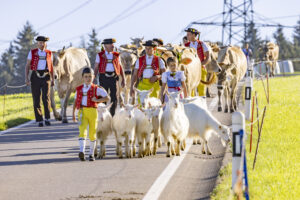 Appenzell, Appenzell Ausserrohden, Appenzeller Hinterland, Brauchtum, Landwirtschaft, Ostschweiz, Schweiz, Schönengrund, Sennen, Suisse, Switzerland, Tracht, Viehschau, Wirtschaft, tradition