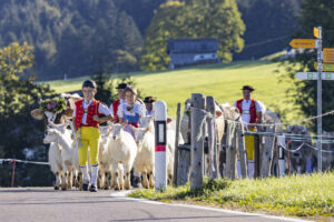 Appenzell, Appenzell Ausserrohden, Appenzeller Hinterland, Brauchtum, Landwirtschaft, Ostschweiz, Schweiz, Schönengrund, Sennen, Suisse, Switzerland, Tracht, Viehschau, Wirtschaft, tradition