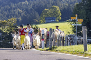 Appenzell, Appenzell Ausserrohden, Appenzeller Hinterland, Brauchtum, Landwirtschaft, Ostschweiz, Schweiz, Schönengrund, Sennen, Suisse, Switzerland, Tracht, Viehschau, Wirtschaft, tradition