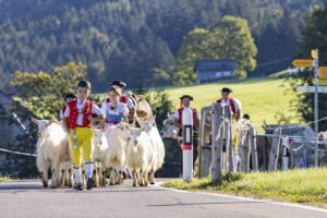 Appenzell, Appenzell Ausserrohden, Appenzeller Hinterland, Brauchtum, Landwirtschaft, Ostschweiz, Schweiz, Schönengrund, Sennen, Suisse, Switzerland, Tracht, Viehschau, Wirtschaft, tradition