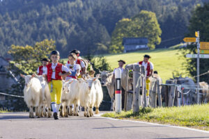 Appenzell, Appenzell Ausserrohden, Appenzeller Hinterland, Brauchtum, Landwirtschaft, Ostschweiz, Schweiz, Schönengrund, Sennen, Suisse, Switzerland, Tracht, Viehschau, Wirtschaft, tradition
