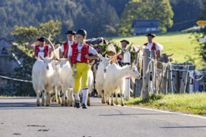 Appenzell, Appenzell Ausserrohden, Appenzeller Hinterland, Brauchtum, Landwirtschaft, Ostschweiz, Schweiz, Schönengrund, Sennen, Suisse, Switzerland, Tracht, Viehschau, Wirtschaft, tradition