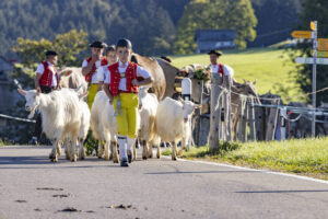 Appenzell, Appenzell Ausserrohden, Appenzeller Hinterland, Brauchtum, Landwirtschaft, Ostschweiz, Schweiz, Schönengrund, Sennen, Suisse, Switzerland, Tracht, Viehschau, Wirtschaft, tradition