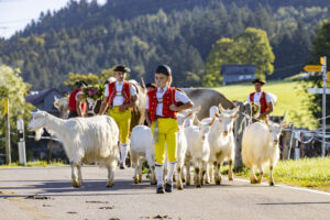Appenzell, Appenzell Ausserrohden, Appenzeller Hinterland, Brauchtum, Landwirtschaft, Ostschweiz, Schweiz, Schönengrund, Sennen, Suisse, Switzerland, Tracht, Viehschau, Wirtschaft, tradition