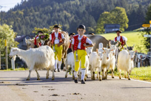 Appenzell, Appenzell Ausserrohden, Appenzeller Hinterland, Brauchtum, Landwirtschaft, Ostschweiz, Schweiz, Schönengrund, Sennen, Suisse, Switzerland, Tracht, Viehschau, Wirtschaft, tradition