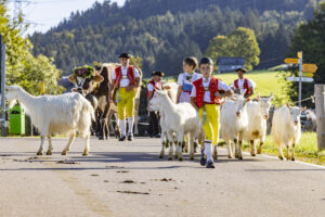 Appenzell, Appenzell Ausserrohden, Appenzeller Hinterland, Brauchtum, Landwirtschaft, Ostschweiz, Schweiz, Schönengrund, Sennen, Suisse, Switzerland, Tracht, Viehschau, Wirtschaft, tradition