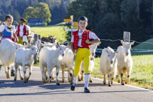 Appenzell, Appenzell Ausserrohden, Appenzeller Hinterland, Brauchtum, Landwirtschaft, Ostschweiz, Schweiz, Schönengrund, Sennen, Suisse, Switzerland, Tracht, Viehschau, Wirtschaft, tradition
