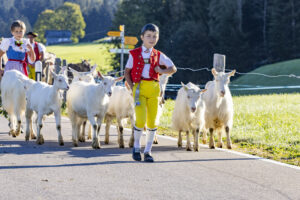 Appenzell, Appenzell Ausserrohden, Appenzeller Hinterland, Brauchtum, Landwirtschaft, Ostschweiz, Schweiz, Schönengrund, Sennen, Suisse, Switzerland, Tracht, Viehschau, Wirtschaft, tradition