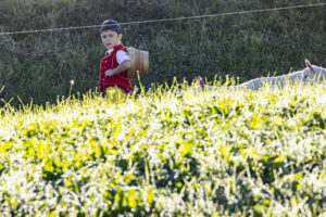 Appenzell, Appenzell Ausserrohden, Appenzeller Hinterland, Brauchtum, Landwirtschaft, Ostschweiz, Schweiz, Schönengrund, Sennen, Suisse, Switzerland, Tracht, Viehschau, Wirtschaft, tradition