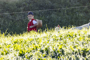 Appenzell, Appenzell Ausserrohden, Appenzeller Hinterland, Brauchtum, Landwirtschaft, Ostschweiz, Schweiz, Schönengrund, Sennen, Suisse, Switzerland, Tracht, Viehschau, Wirtschaft, tradition