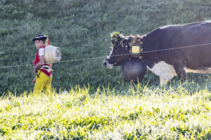 Appenzell, Appenzell Ausserrohden, Appenzeller Hinterland, Brauchtum, Landwirtschaft, Ostschweiz, Schweiz, Schönengrund, Sennen, Suisse, Switzerland, Tracht, Viehschau, Wirtschaft, tradition