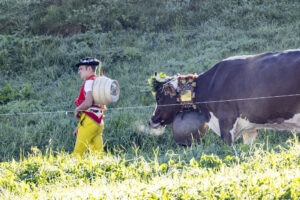 Appenzell, Appenzell Ausserrohden, Appenzeller Hinterland, Brauchtum, Landwirtschaft, Ostschweiz, Schweiz, Schönengrund, Sennen, Suisse, Switzerland, Tracht, Viehschau, Wirtschaft, tradition