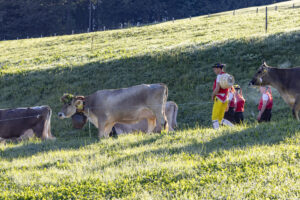 Appenzell, Appenzell Ausserrohden, Appenzeller Hinterland, Brauchtum, Landwirtschaft, Ostschweiz, Schweiz, Schönengrund, Sennen, Suisse, Switzerland, Tracht, Viehschau, Wirtschaft, tradition