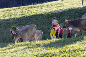Appenzell, Appenzell Ausserrohden, Appenzeller Hinterland, Brauchtum, Landwirtschaft, Ostschweiz, Schweiz, Schönengrund, Sennen, Suisse, Switzerland, Tracht, Viehschau, Wirtschaft, tradition