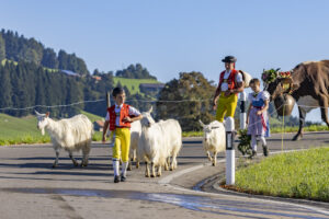 Appenzell, Appenzell Ausserrohden, Appenzeller Hinterland, Brauchtum, Landwirtschaft, Ostschweiz, Schweiz, Schönengrund, Sennen, Suisse, Switzerland, Tracht, Viehschau, Wirtschaft, tradition