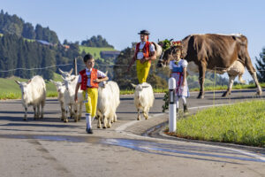 Appenzell, Appenzell Ausserrohden, Appenzeller Hinterland, Brauchtum, Landwirtschaft, Ostschweiz, Schweiz, Schönengrund, Sennen, Suisse, Switzerland, Tracht, Viehschau, Wirtschaft, tradition