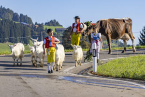 Appenzell, Appenzell Ausserrohden, Appenzeller Hinterland, Brauchtum, Landwirtschaft, Ostschweiz, Schweiz, Schönengrund, Sennen, Suisse, Switzerland, Tracht, Viehschau, Wirtschaft, tradition