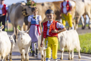 Appenzell, Appenzell Ausserrohden, Appenzeller Hinterland, Brauchtum, Landwirtschaft, Ostschweiz, Schweiz, Schönengrund, Sennen, Suisse, Switzerland, Tracht, Viehschau, Wirtschaft, tradition