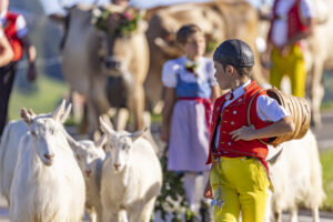 Appenzell, Appenzell Ausserrohden, Appenzeller Hinterland, Brauchtum, Landwirtschaft, Ostschweiz, Schweiz, Schönengrund, Sennen, Suisse, Switzerland, Tracht, Viehschau, Wirtschaft, tradition