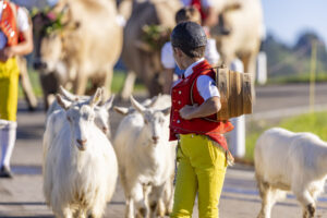 Appenzell, Appenzell Ausserrohden, Appenzeller Hinterland, Brauchtum, Landwirtschaft, Ostschweiz, Schweiz, Schönengrund, Sennen, Suisse, Switzerland, Tracht, Viehschau, Wirtschaft, tradition