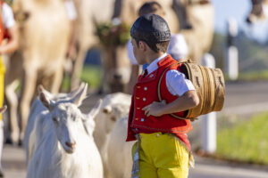 Appenzell, Appenzell Ausserrohden, Appenzeller Hinterland, Brauchtum, Landwirtschaft, Ostschweiz, Schweiz, Schönengrund, Sennen, Suisse, Switzerland, Tracht, Viehschau, Wirtschaft, tradition