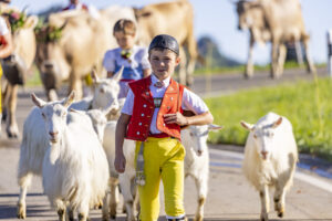 Appenzell, Appenzell Ausserrohden, Appenzeller Hinterland, Brauchtum, Landwirtschaft, Ostschweiz, Schweiz, Schönengrund, Sennen, Suisse, Switzerland, Tracht, Viehschau, Wirtschaft, tradition