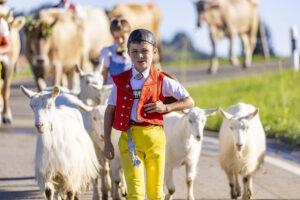 Appenzell, Appenzell Ausserrohden, Appenzeller Hinterland, Brauchtum, Landwirtschaft, Ostschweiz, Schweiz, Schönengrund, Sennen, Suisse, Switzerland, Tracht, Viehschau, Wirtschaft, tradition