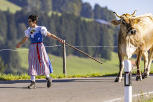 Appenzell, Appenzell Ausserrohden, Appenzeller Hinterland, Brauchtum, Landwirtschaft, Ostschweiz, Schweiz, Schönengrund, Sennen, Suisse, Switzerland, Tracht, Viehschau, Wirtschaft, tradition