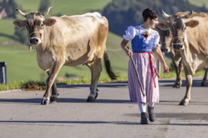 Appenzell, Appenzell Ausserrohden, Appenzeller Hinterland, Brauchtum, Landwirtschaft, Ostschweiz, Schweiz, Schönengrund, Sennen, Suisse, Switzerland, Tracht, Viehschau, Wirtschaft, tradition
