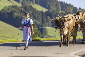 Appenzell, Appenzell Ausserrohden, Appenzeller Hinterland, Brauchtum, Landwirtschaft, Ostschweiz, Schweiz, Schönengrund, Sennen, Suisse, Switzerland, Tracht, Viehschau, Wirtschaft, tradition