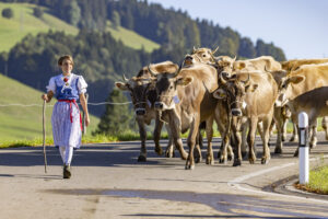 Appenzell, Appenzell Ausserrohden, Appenzeller Hinterland, Brauchtum, Landwirtschaft, Ostschweiz, Schweiz, Schönengrund, Sennen, Suisse, Switzerland, Tracht, Viehschau, Wirtschaft, tradition