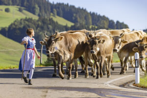 Appenzell, Appenzell Ausserrohden, Appenzeller Hinterland, Brauchtum, Landwirtschaft, Ostschweiz, Schweiz, Schönengrund, Sennen, Suisse, Switzerland, Tracht, Viehschau, Wirtschaft, tradition