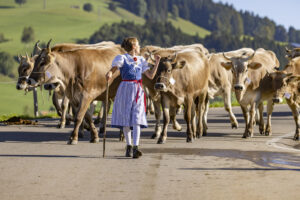 Appenzell, Appenzell Ausserrohden, Appenzeller Hinterland, Brauchtum, Landwirtschaft, Ostschweiz, Schweiz, Schönengrund, Sennen, Suisse, Switzerland, Tracht, Viehschau, Wirtschaft, tradition