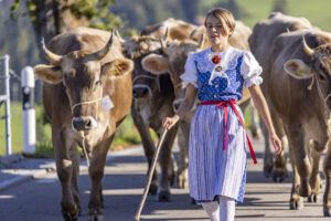 Appenzell, Appenzell Ausserrohden, Appenzeller Hinterland, Brauchtum, Landwirtschaft, Ostschweiz, Schweiz, Schönengrund, Sennen, Suisse, Switzerland, Tracht, Viehschau, Wirtschaft, tradition