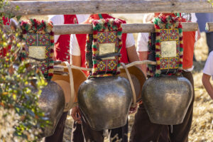 Appenzell, Appenzell Ausserrohden, Appenzeller Hinterland, Brauchtum, Landwirtschaft, Ostschweiz, Schweiz, Schönengrund, Sennen, Suisse, Switzerland, Tracht, Viehschau, Wirtschaft, tradition