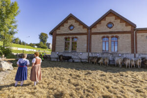 Appenzell, Appenzell Ausserrohden, Appenzeller Hinterland, Brauchtum, Landwirtschaft, Ostschweiz, Schweiz, Schönengrund, Sennen, Suisse, Switzerland, Tracht, Viehschau, Wirtschaft, tradition